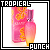  Tropical Punch by Escada 